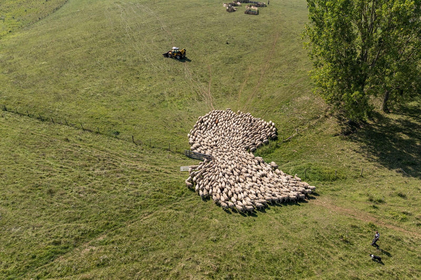 Városi család. Vidéki biztonság.