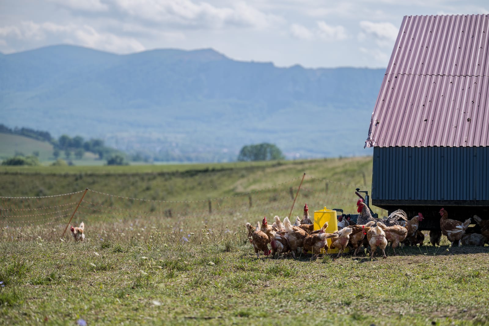 Biztonságban, közösségben.